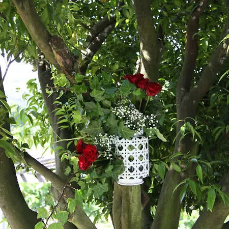 Szálloda Casa Valxisto