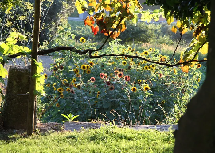 Casa Valxisto 3* Quintandona